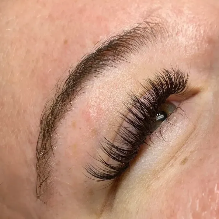 Lash extensions photographed from above, evenly spaced from the inner corner to the outer edge